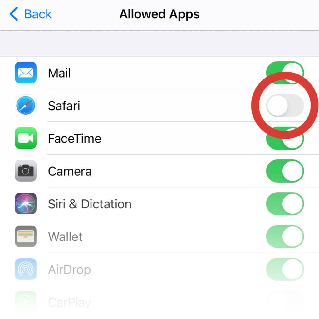 iOS setting to block porn